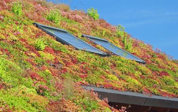 Claypit Hill living roof systems